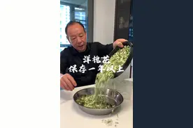 这样保存槐花，让你一年四季都可以吃到比较新鲜的槐花。槐花不要水洗，直接装到保鲜袋里，排出空气，密封起来，放冰箱冷冻就好了。这种方法可以比较好的保留槐花的香味和新鲜度。让你一年四季都可以吃到新鲜的槐花。#又是一年槐花香 #洋槐花 #槐花视频封面