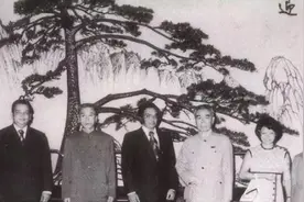 这盛世，如您所愿——周总理与芜湖铁画《迎客松》#人民的好总理视频封面