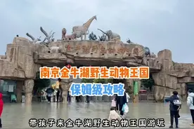 南京金牛湖野生动物园游玩攻略，这样玩好玩还不累，玩回票价