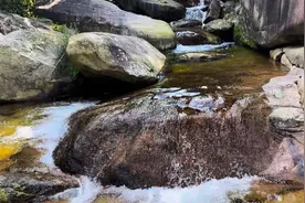 距离郑州220公里的伏牛山深处 这里有千万株板栗树视频封面