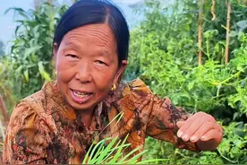 韭菜怎么管理长的好 韭菜割完以后这样的管理方法你知道吗#韭菜种植 #蔬菜种植 #生菜杨姐  #种植小技巧#三农@DOU+小助手 @DOU+上热门视频封面