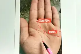 #情感共鸣 手相：从感情线看婚姻，有这样的感情线，婚运极佳视频封面