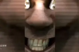 这比嘎大点的东西应该叫他什么呢？视频封面