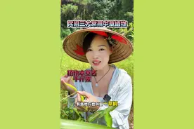 #你的家乡有这种植物吗 #一日一植物 #植物科普 #识百草 #随拍 千斤拔是什么植物？