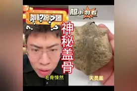 小哥收藏神秘头盖骨，看着怎么像人的天灵盖，竟然还收藏嘎巴拉视频封面