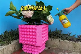 小伙竟然用鸡蛋盒为媳妇打造了一款漂亮礼物 太牛了#手工diy视频封面