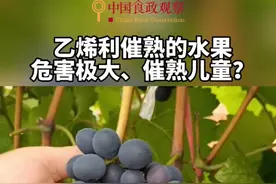 骇人听闻的催熟水果，其实事实很不一样！别再吓自己！#水果 #新鲜应季水果 #反季水果 #新鲜水果 #食品安全 