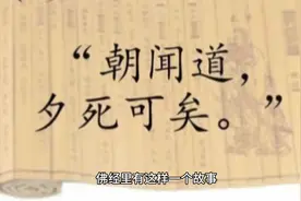 “朝闻道，夕死可矣”—佛祖以身饲虎视频封面