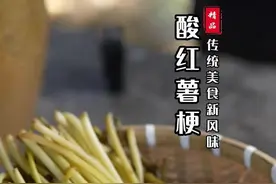 酸红薯梗 大鱼大肉吃腻了，腌制一缸酸红薯梗解腻，3天就可以吃，越放越酸越好吃！#纯天然无添加 #治愈系乡村美食 #新农人计划2024 #酸菜 #泡菜