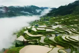 牛皮席真正价值就是 透气，散热，抗菌防螨，经久耐用