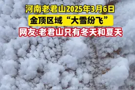 2025年3月6日河南洛阳老君山大雪纷飞，和喜欢的朋友一起来看雪，原来老君山一年只有两季#老君山雪景 #远赴人间惊鸿宴 #一起看雪 #下雪了