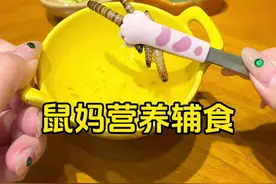 小嫩鼠们长毛了！给鼠鼠做营养月子餐啦！ #仓鼠 #金丝熊视频封面