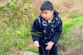 聪明的小男孩#农村搞笑段子 #严厉打击违法犯罪 #传递正能量 #法治天下 #严惩败类视频封面