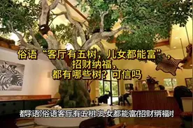 俗语“客厅有五树，儿女都能富”，招财纳福，都有哪些树？可信吗视频封面