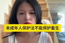 河北邯郸的三个恶魔孩子得到了法律的制裁、要承担刑事责任了视频封面