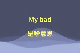 My bad是啥意思？#英语 #英语语法