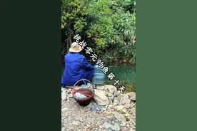 挑战零元钓鱼第十天，鱼获换装备！#原创视频#钓鱼人