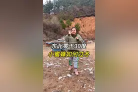 东北零下30度，小蜜蜂如何过冬#如何用短视频记录真实生活 #山里生活 #东北蜜蜂如何过冬 #创业vlog #三农故事