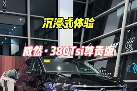 沉浸式体验大众威然380尊贵版#大众威然 #威然 #dou是好车 #上汽大众威然