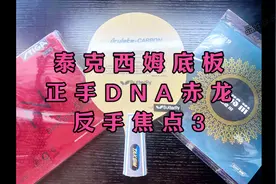 一代直板传奇，蝴蝶王泰克西姆底板！#乒乓球拍 #乒乓球拍搭配