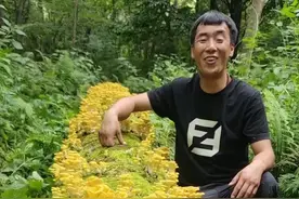 现在准备好榆树，明年春天五一左右种#在家种菜 #三农 #园艺生活 #记录我的农村生活 #记录大山里的农村生活 @抖音三农 @抖音热点视频封面