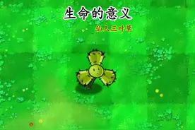 生命的意义，仙人三叶花#植物大战僵尸 #植物大战僵尸杂交版视频封面