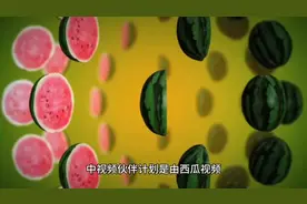 西瓜视频、抖音今日头条共同发起的中视频伙伴计划申请入口图片