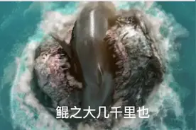 北冥有鱼，其名为鲲！鲲之大几千里也！#视觉震撼 #海洋生物