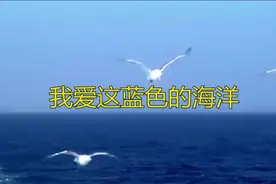 《我爱这蓝色的海洋》 热烈庆祝人民海军成立76周年！视频封面