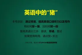 第137期|英语中的“猪”
Swine, Pigs and Hogs