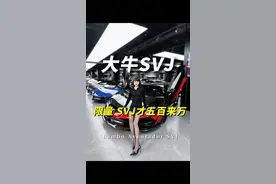 兰博基尼大牛SVJ：这台车大哥太有实力，收的便宜卖的更便宜！ #兰博基尼svj #兰博基尼大牛
