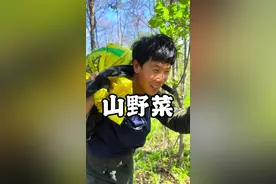 今天上山采山野菜了，采了一袋黄瓜香，我姐采了不少薇菜，猴腿，山迷子，整了一大袋子，又是满载而归的一天。#记录我的农村生活 #东北农村生活 #跑山 #山野菜 #大山里的风景就是这么美 @永乐影姐 @抖音小助手 @抖音热点 @抖音创作者中心