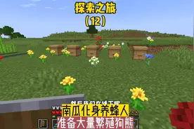 探索之旅（12）:南瓜化身养蜂人，准备大量繁殖狗熊#我的世界