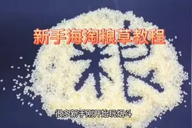 斗草海淘教程  #知识分享 #干货分享  #烟丝 #斗粮 #烟草