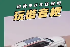 #坦克 你是不太爱玩谐音梗了？#坦克500 #阿拉善 #长城 #坦克500销量破十万