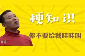 "《你不要给我哇哇叫》是什么梗？"#万恶之源 #你不要给我哇哇叫视频封面