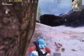 大家都玩冰河禁区这张图了吗，单排有多少人呀#和平精英战场进化