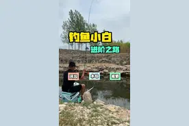 大爷说的这个钓位，果然是好。但凡腿脚不方便，都没法钓！#夏日正是钓鱼时 #蓝鲫青春版 #老坛甜薯 #canfish#钓鱼只有钓鱼人懂