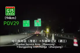 G15沈海高速茂湛段扩建进展#高速行车安全 #茂湛高速 #沈海高速