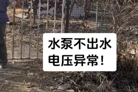 修个潜水泵不上水，电压也会飘移吗？#真实案例 #技术分享 #安全用电视频封面