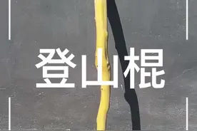 酸枣杖 ｜在村里挖了几根酸枣木做一个登山杖#宝藏生活家企划 #酸枣木 #登山杖 #威克士 #小院时光视频封面