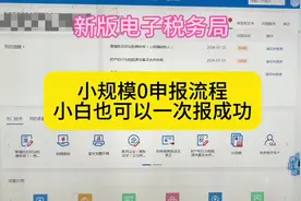 小规模0申报详细流程，新手小白一看就会#报税实操 #会计视频封面