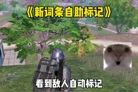 《下个赛季新词条自助标记》 #和平精英地铁逃生