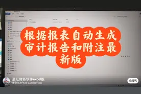 #审计报告#审计工具#自动生成审计报告#自动生成报表附注视频封面