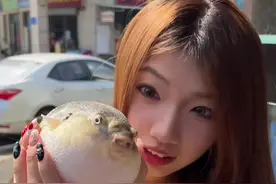 河豚刺身！亲测安全下车～口感真的好特别！！！河豚肝更好吃～ #本地人爱吃的店 #佛山美食 #春日美食大赏视频封面