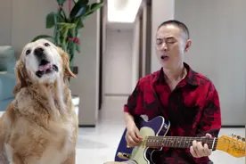 它叫贝贝 2015年我在北京领养的一个小可怜，它脸我发都白了视频封面