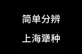 简单分辨上海犟种 #上海 #内容过于真实 #魔都什么梗
