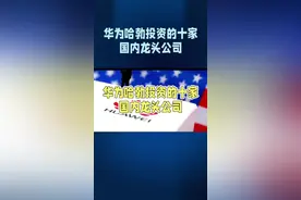 华为哈勃投资的十家国内龙头公司 #华为 #中国制造 #龙头公司 #科技创新
