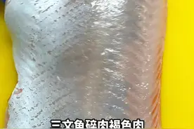 三文鱼肉和皮之间有一层灰褐色的鱼肉，这是冷水鱼的保温层，油脂丰富，但是生食口感不佳，适合熟吃或者是给宠物#三文鱼 #三文鱼碎肉 #狗粮 #猫粮
