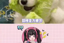 #欢乐谷被吃鸡玩家包围 玩梗还得看你们啊